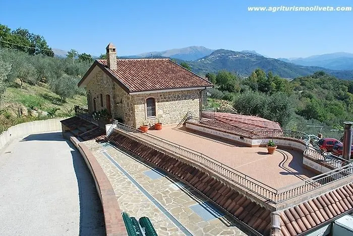 Alojamento de Acomodação e Pequeno-almoço Oliveta *